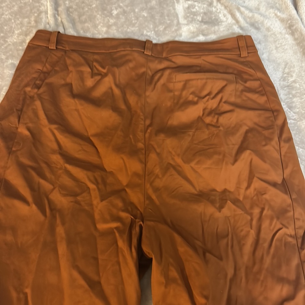 Banana Republic X Harbison Safar Suit Pant In The Right Spice View 6